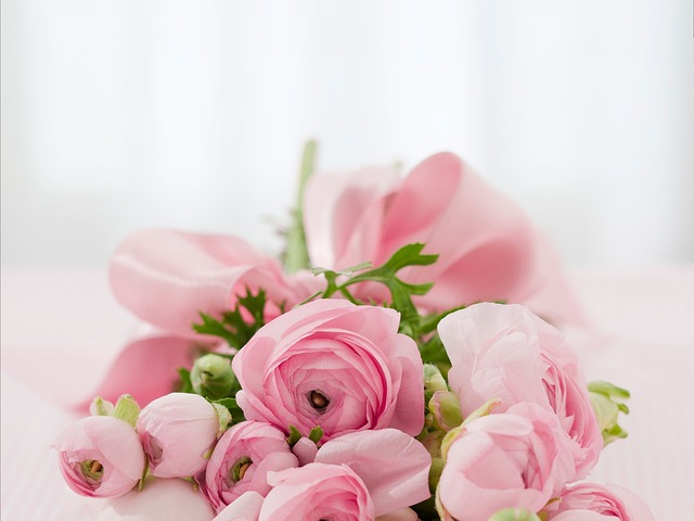 Den lysende vej: Gule blomsters betydning i haven